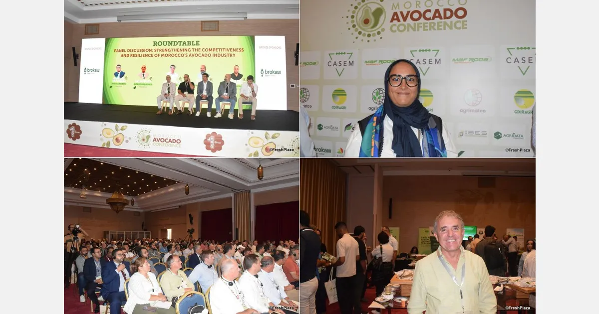 Morocco's Inaugural Avocado Conference: A Focus on Growth and Global Market Dynamics