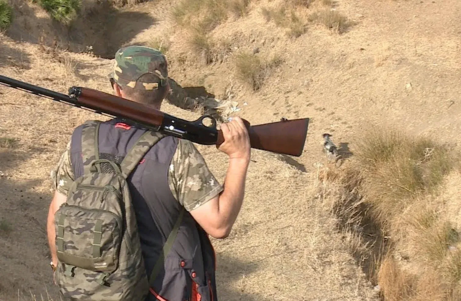 Official Launch of the 2026-2027 Hunting Season in Morocco