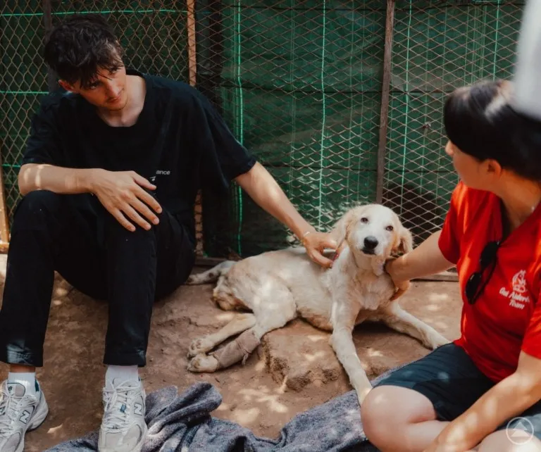 Nathan Goldblat: A Champion for Stray Animals in Morocco
