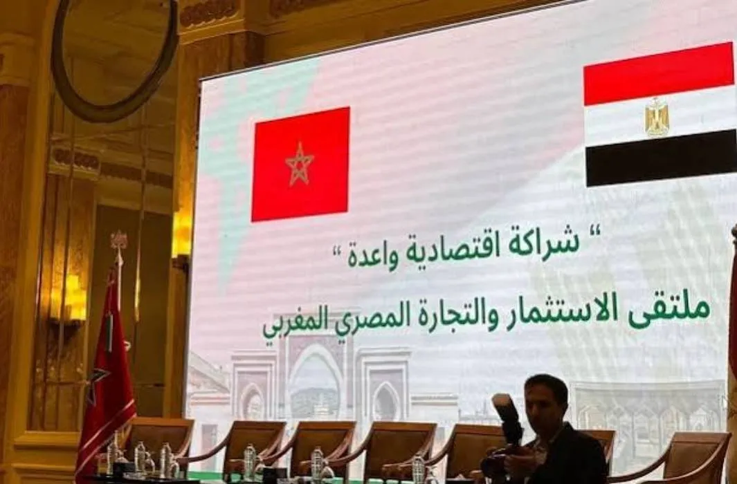 Morocco and Egypt Explore Joint Battery Manufacturing Plant to Boost Economic Cooperation