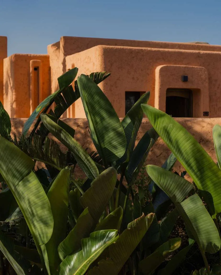 Discover the Tranquil Luxury of Oasis Lodges: A Unique Retreat Near Marrakech