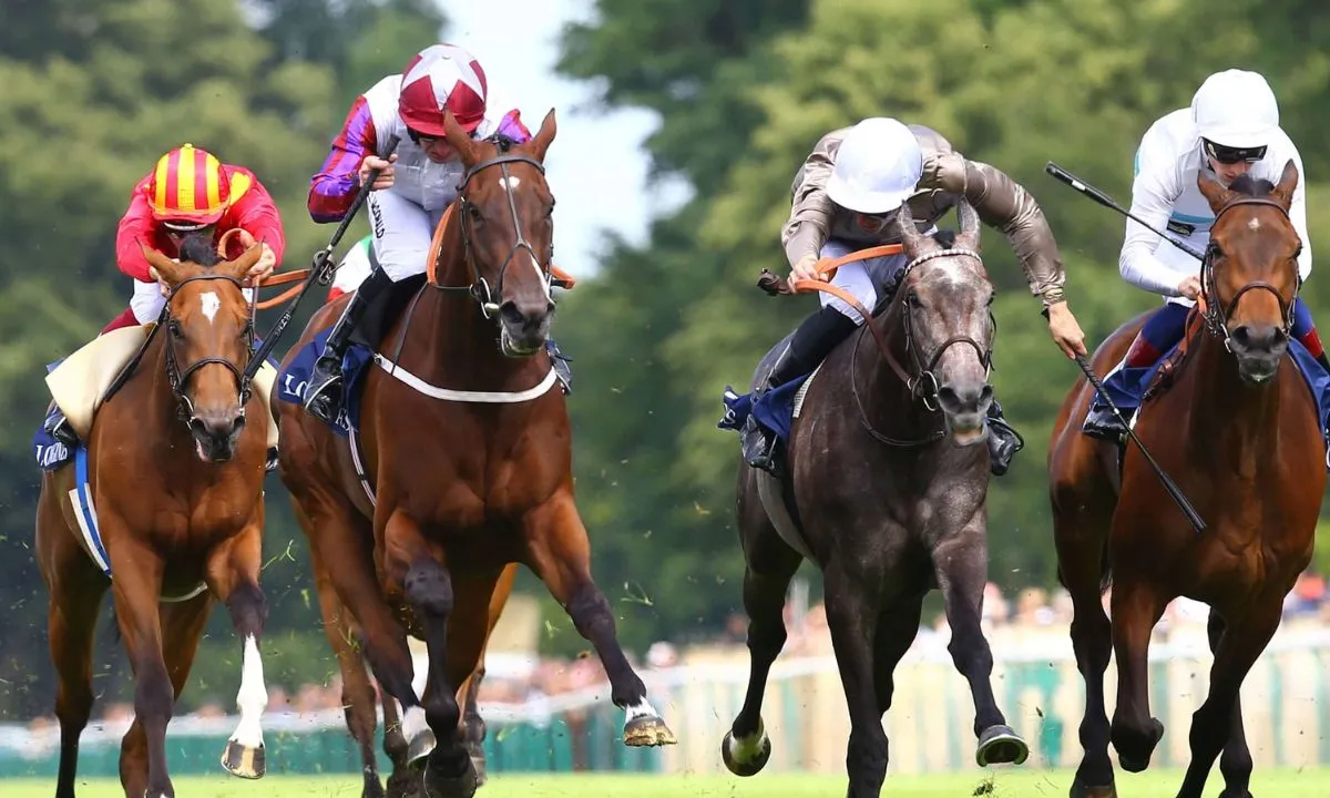 Upcoming Horse Race: Key Insights and Competitor Profiles