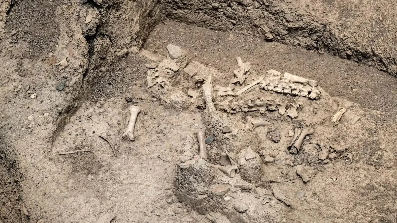 Mysterious Discovery of Human Remains Near Marrakech Sparks Investigation