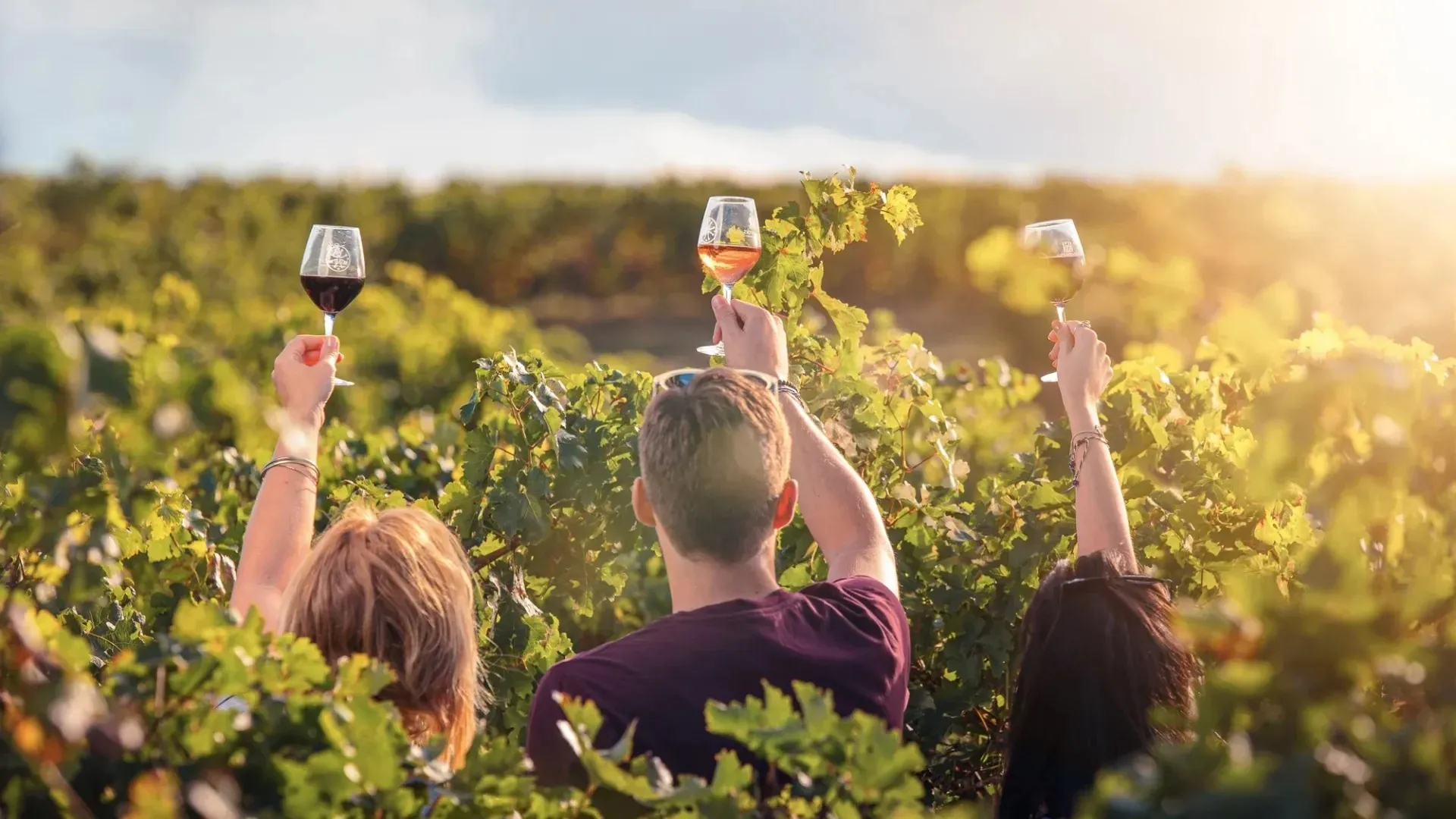 Exploring the Potential of Wine Tourism in Morocco: A Path to Economic Growth