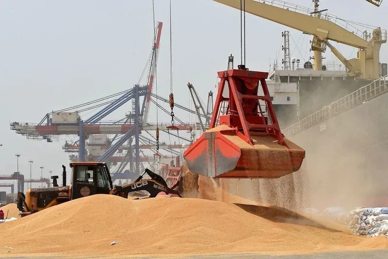 Morocco Increases Wheat Import Subsidy Amid Market Pressures