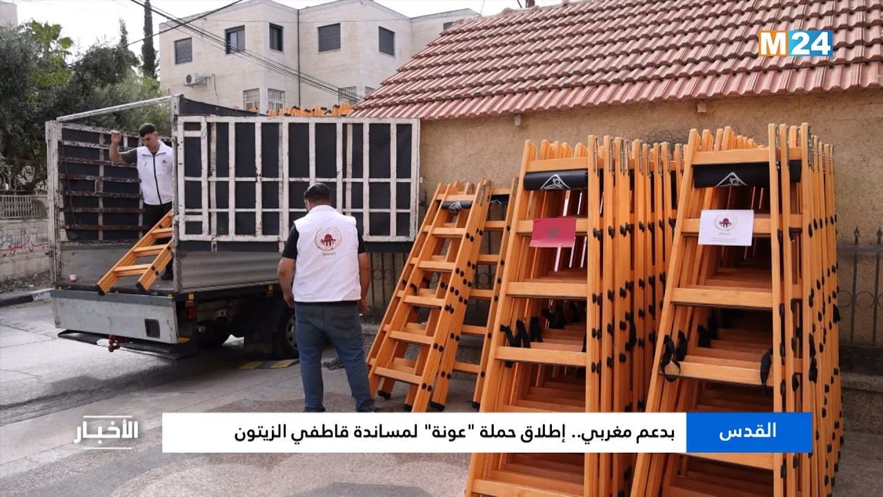 Moroccan Initiative: 'Awna' Campaign Launched to Aid Olive Harvesters in Jerusalem