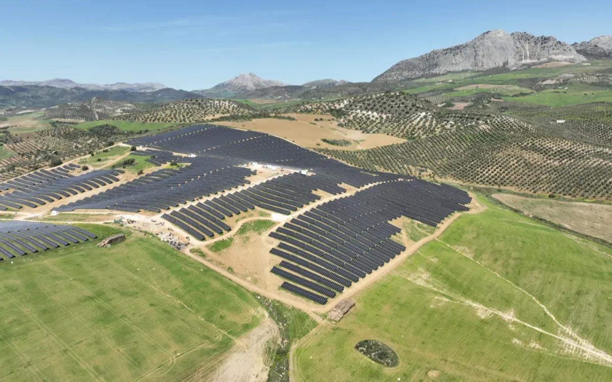 Greening Exits Morocco and Other Markets Amid Strategic Restructuring