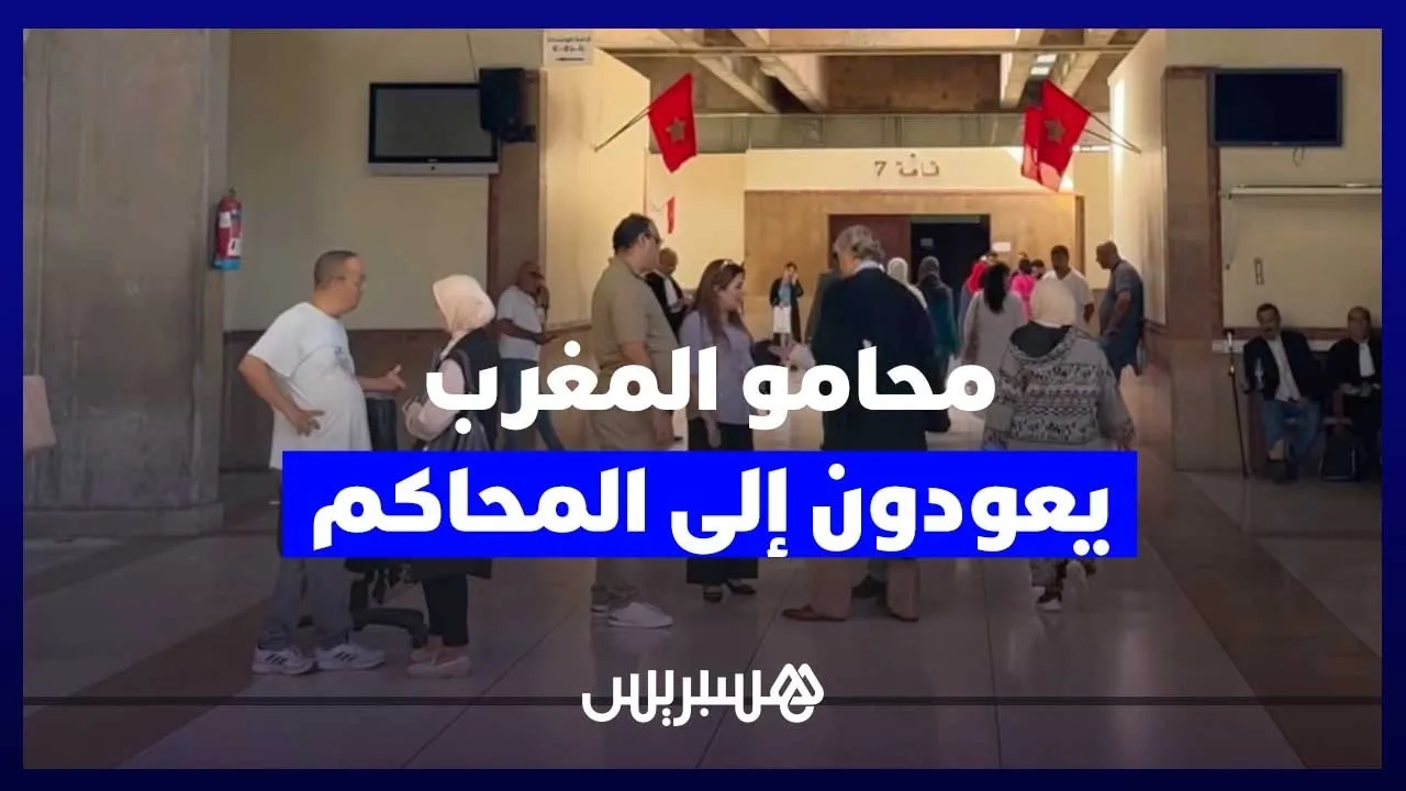 Moroccan Lawyers Return to Court Demanding Legal Reforms Amid New Professional Dialogue