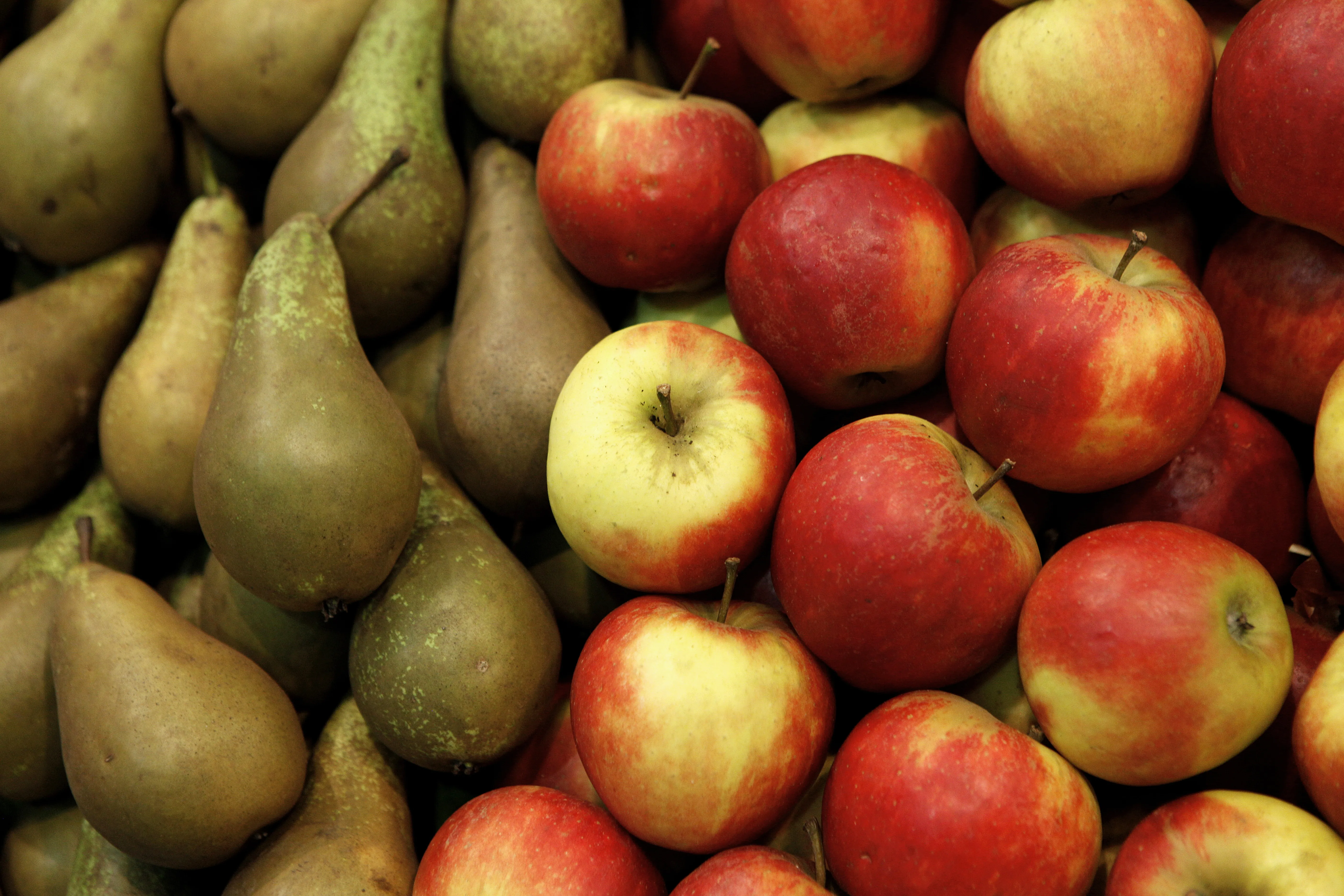 Morocco's Fruit Imports: A Growing Dependency on EU and Other Suppliers