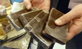 Spain Cracks Down on Drug Trafficking Network, Seizing Over 10 Tons of Hashish