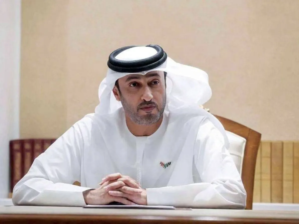 Unraveling a Terror Plot: Investigation into Fly Dubai Flight Incident