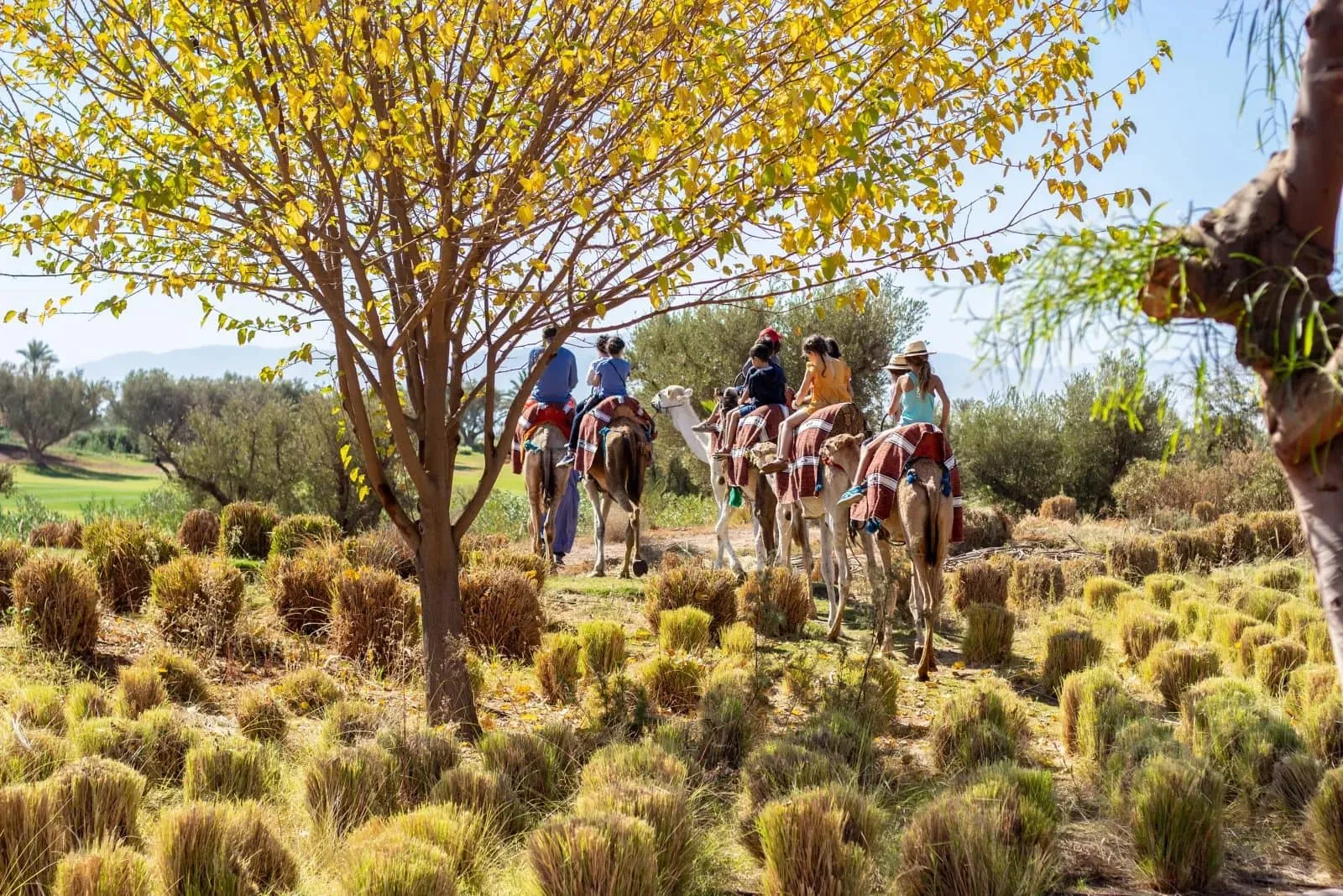 Exciting Toussaint Vacation Activities at Fairmont Royal Palm Marrakech