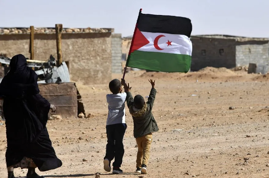 The Transitional Council: Navigating the Complexities of the Western Sahara Dispute