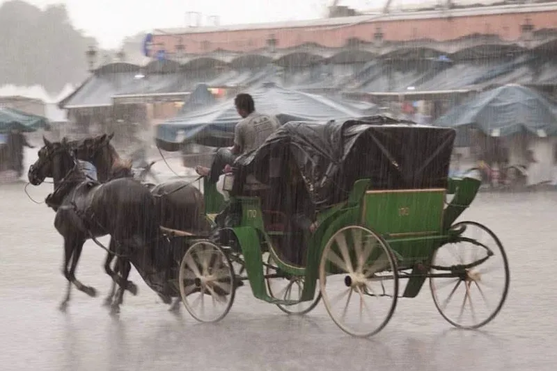 Severe Weather Alert: Heavy Rainfall Expected Across Multiple Regions