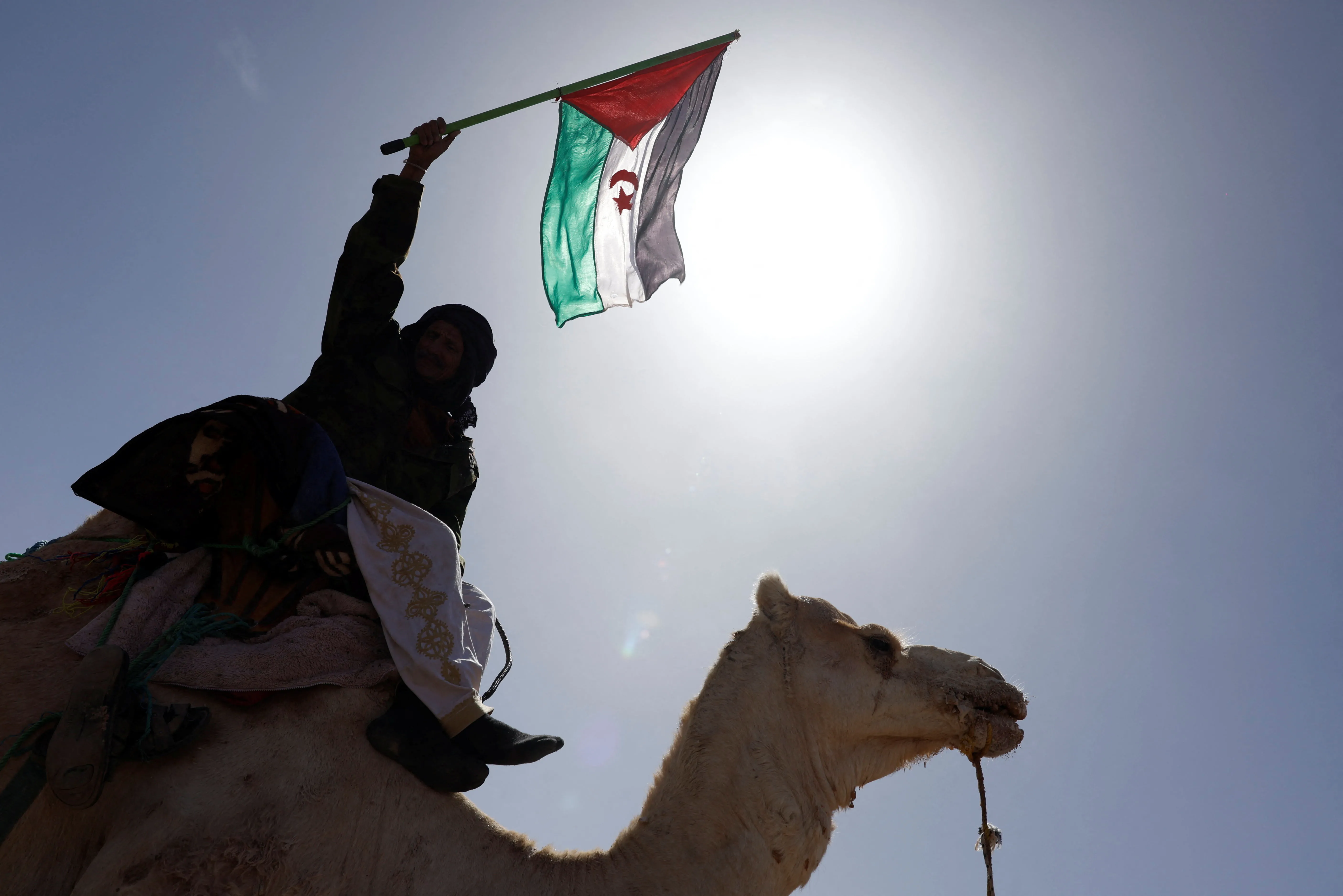 Algeria Detains 61 Moroccans on Sabotage Charges Amid Tense Relations