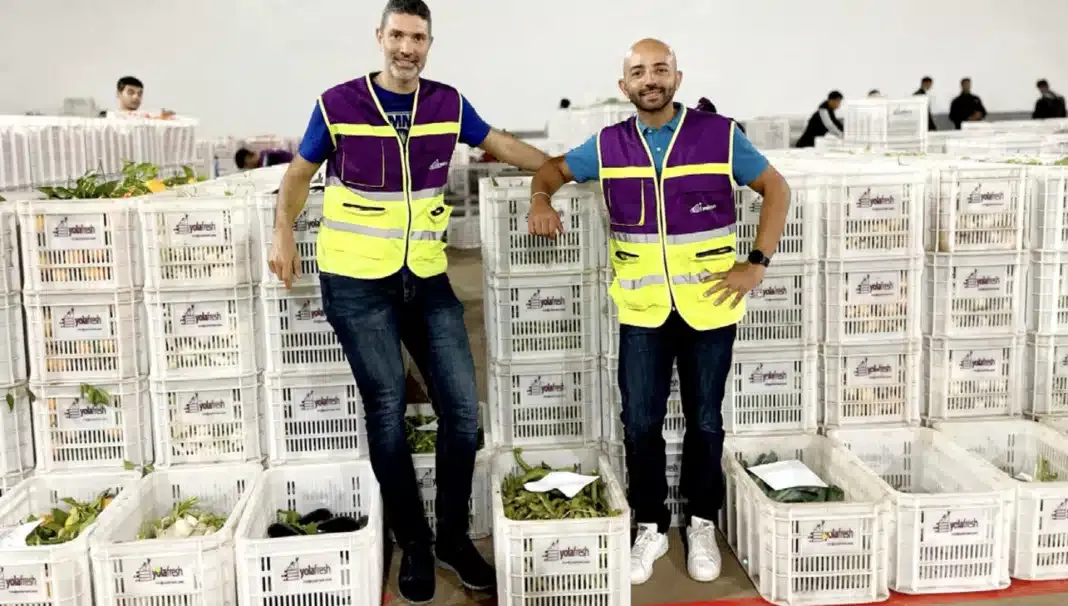 Moroccan Agritech Start-Up YoLa Fresh Shuts Down Amid Funding Challenges