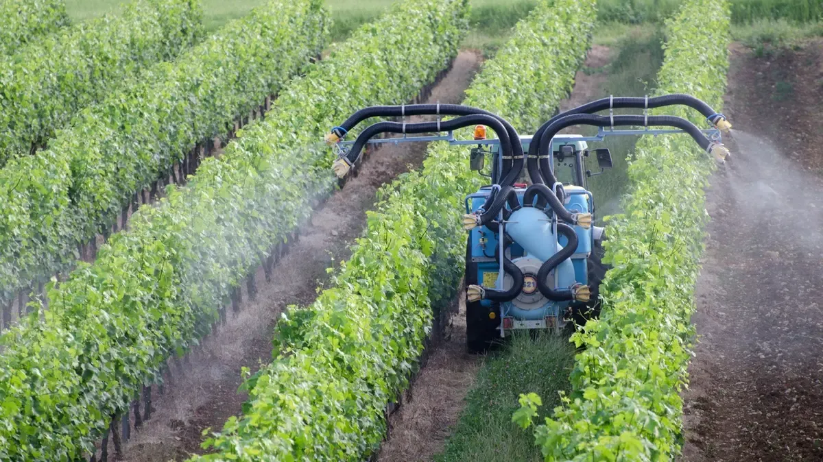 Morocco Seeks to Strengthen Agricultural Cooperation with the United States