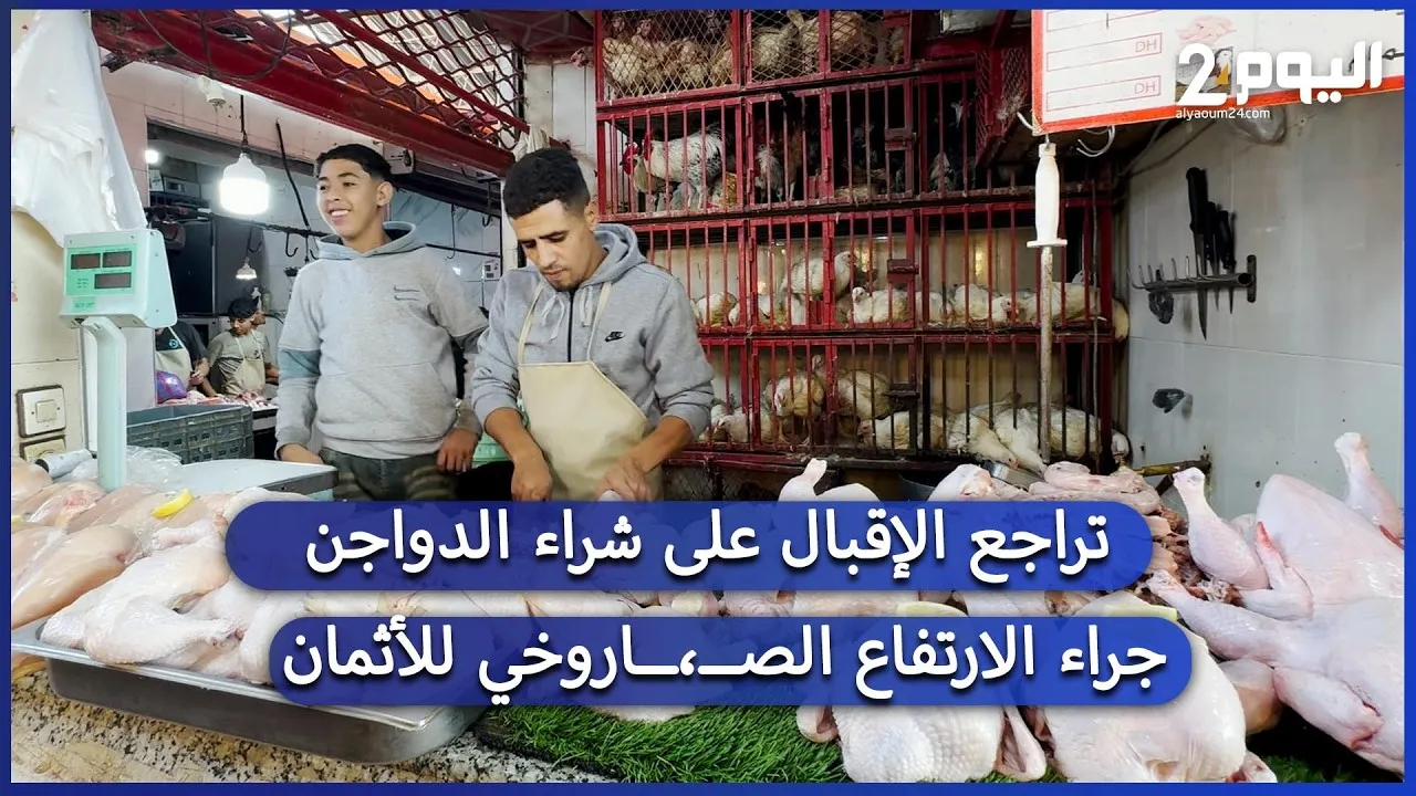 Marrakech Faces Decline in Poultry Demand Amid Rising Prices