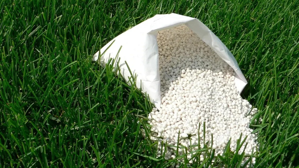 American Company Expands in Morocco's Phosphate Sector