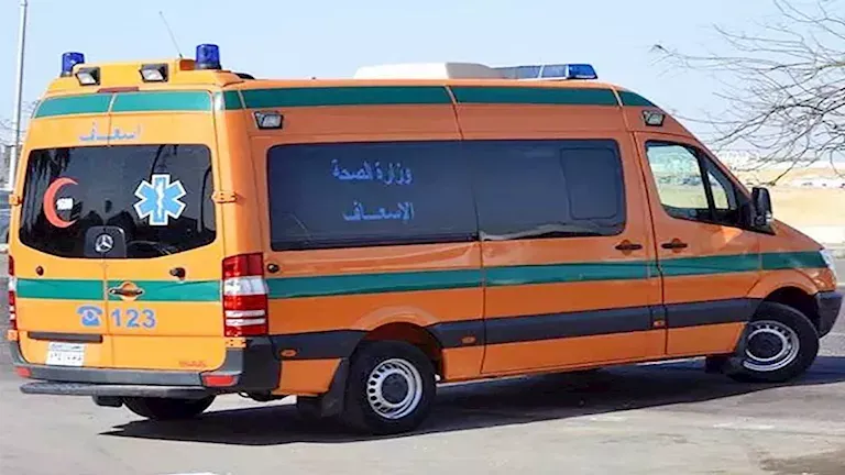 Tragic Murder in Abu Kabir: A Senior Citizen's Life Cut Short Over a Guava Tree Dispute