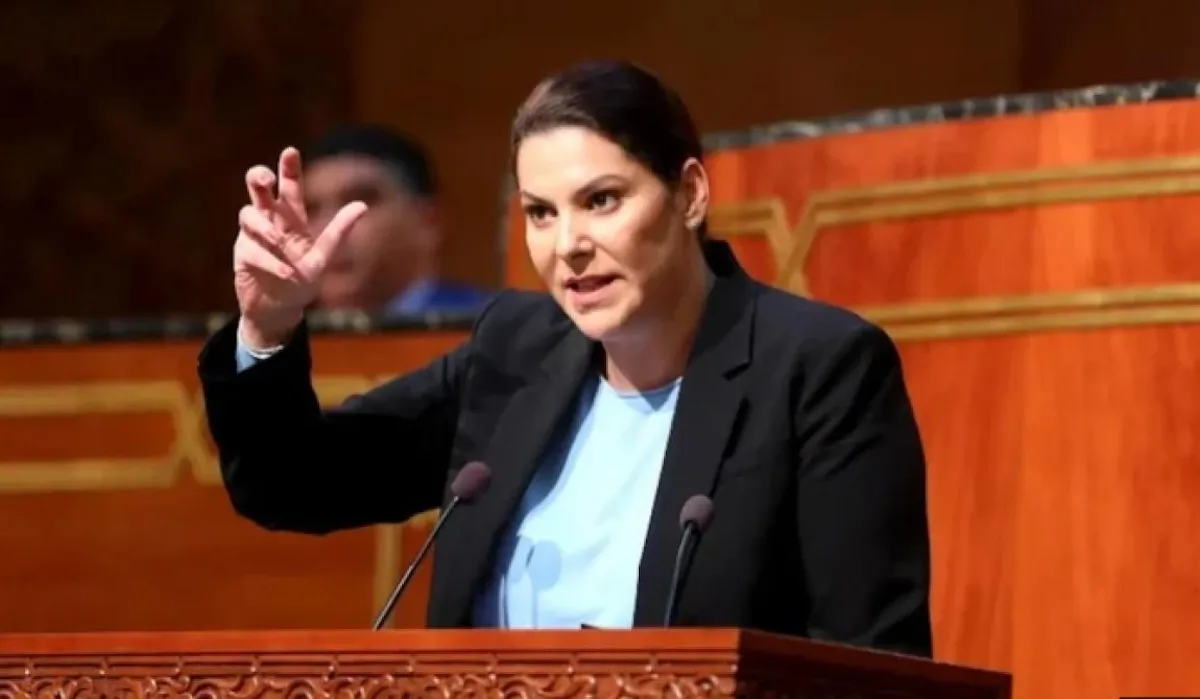 El Mansouri Highlights Autonomy and Moroccan Sahara as National Priorities in Parliament