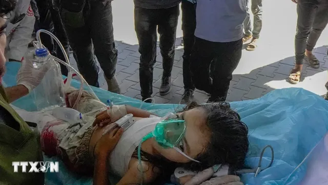 Escalating Humanitarian Crisis in Gaza Amidst International Stabilization Efforts