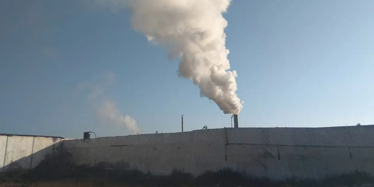 Industrial Pollution in Anza: Urgent Measures for a Cleaner Future in Morocco