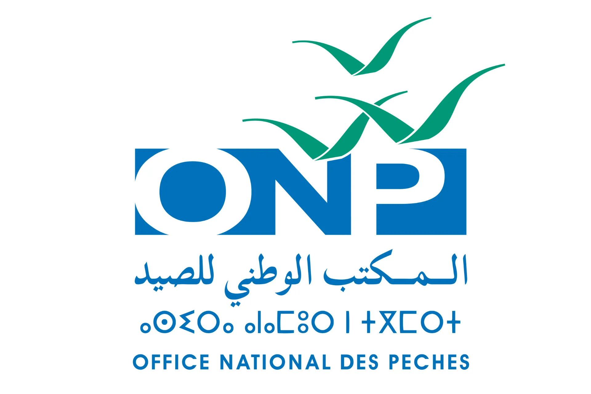 Lmehiri Port in Morocco Sees 51% Surge in Fisheries Revenue