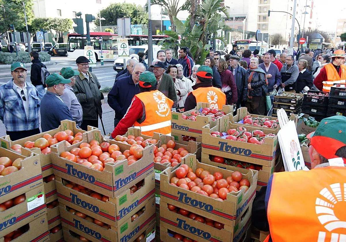 Impact of Moroccan Competition on Spain's Tomato Production: A Comprehensive Analysis