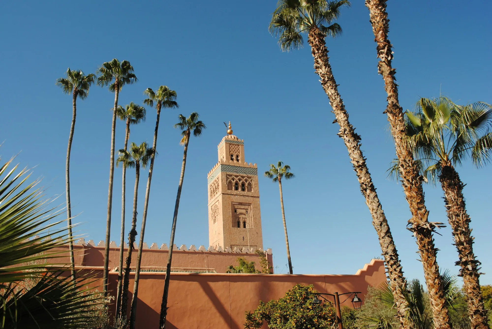 Marrakech International Film Festival 2026: Key Details and Highlights