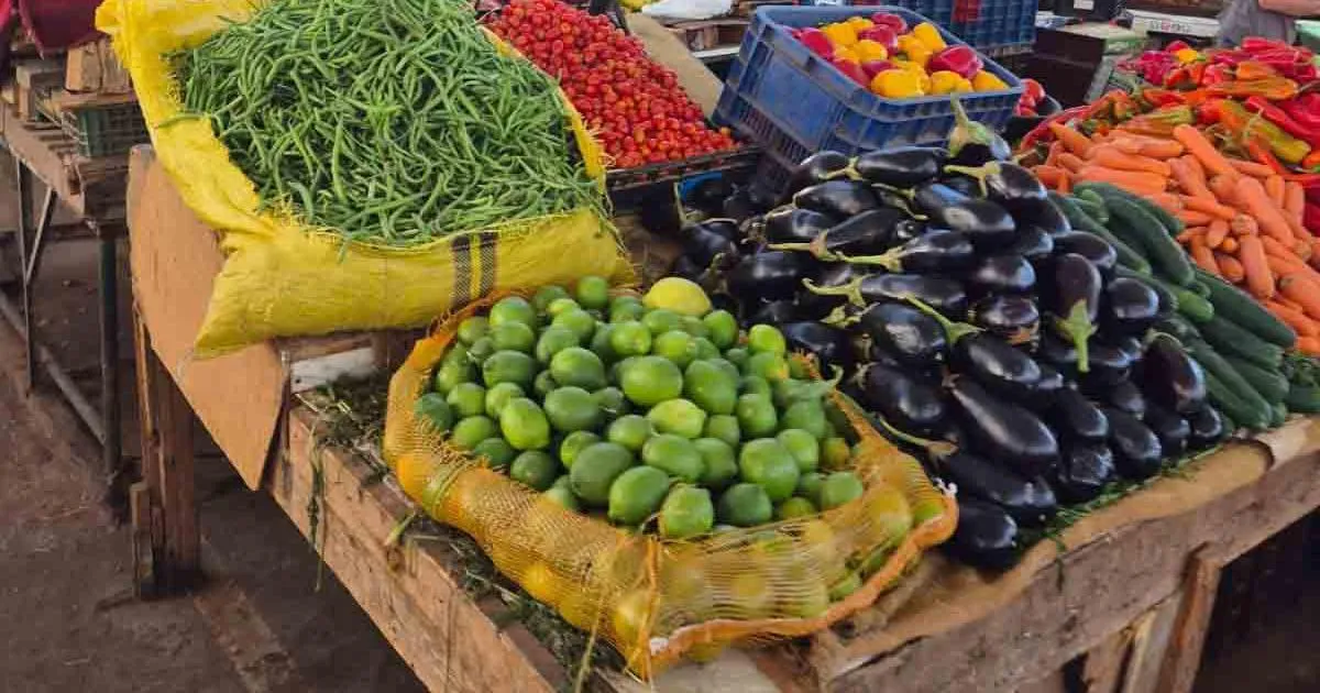 Morocco's Consumer Price Index Sees Slight Increase in September 2026