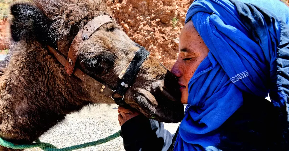 Exploring Morocco: Gernot Haida's Captivating Journey Through Stunning Landscapes and Culinary Delights