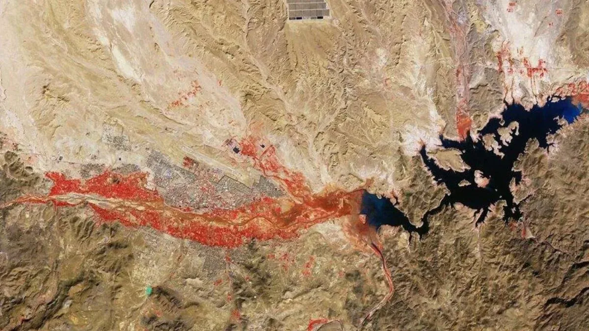 Discovering Morocco's Hidden Life: A Satellite's Eye on the Desert