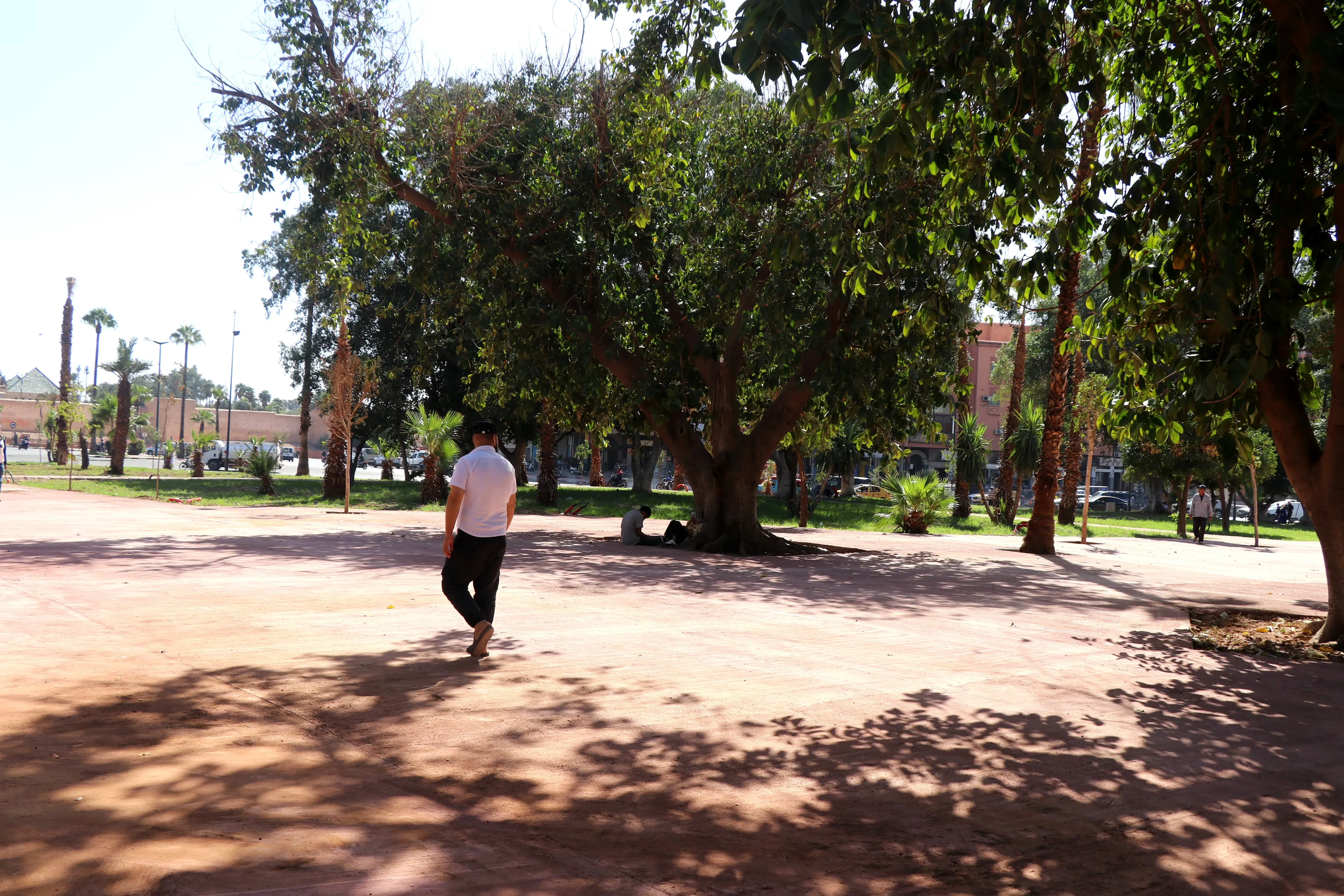 Revitalization of the Almoravides Garden: A Green Oasis in Marrakech