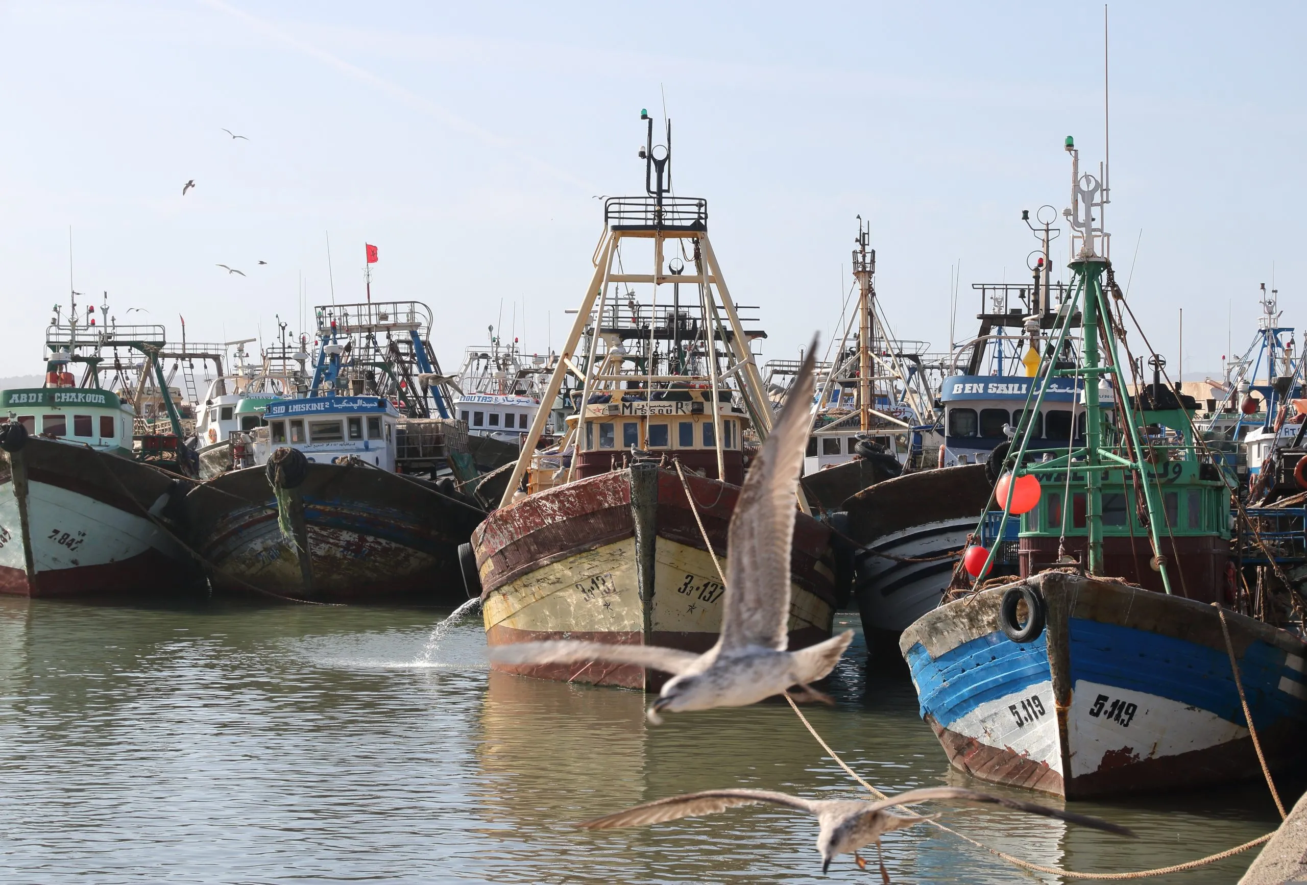 Search Continues for Missing Fishermen off Safi Coast, Morocco