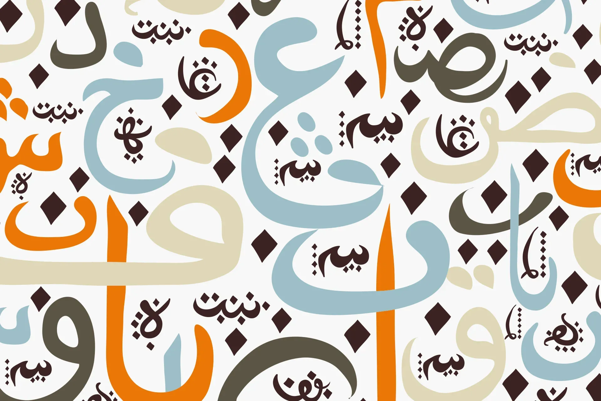 The Importance of Supporting the Arabic Language in Morocco's Public Policies