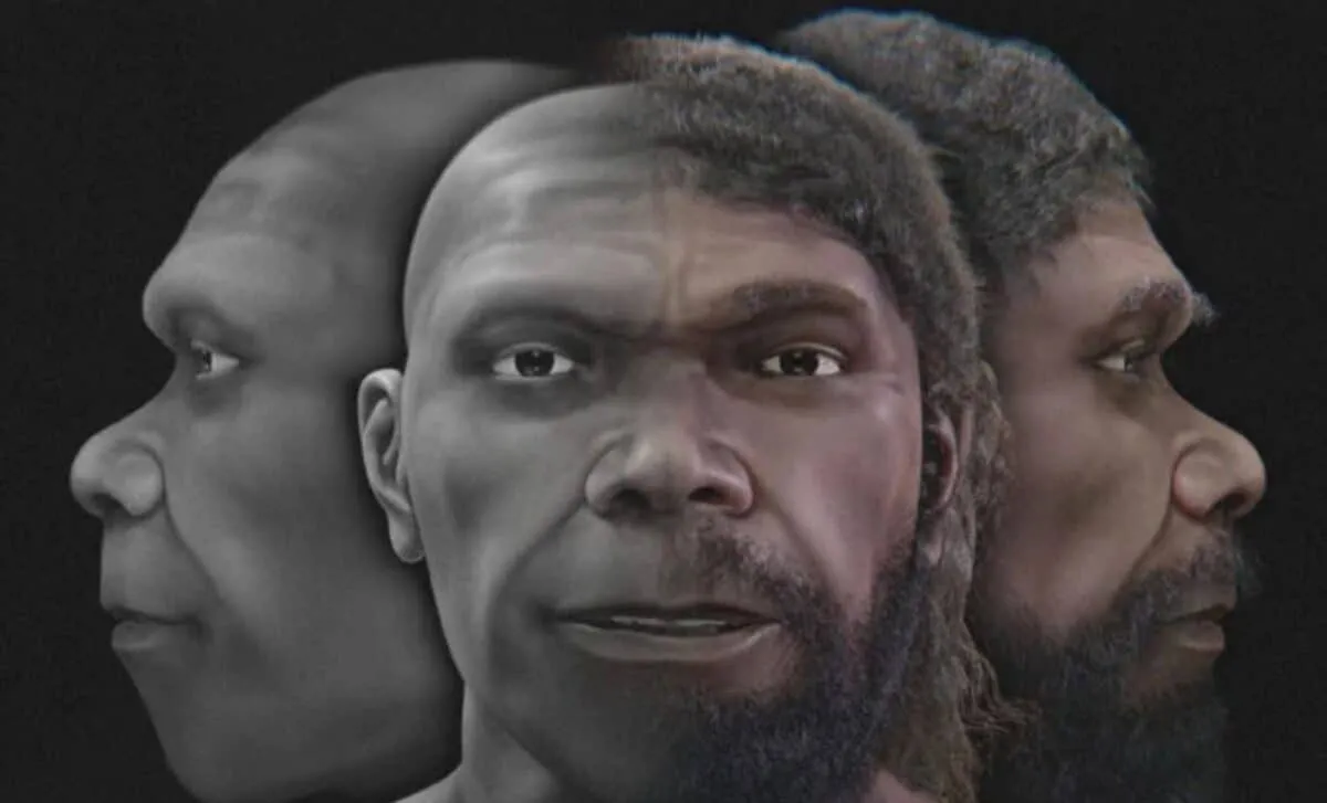 Morocco's Ancient Legacy: Reconstructing the Face of a 315,000-Year-Old Homo Sapiens