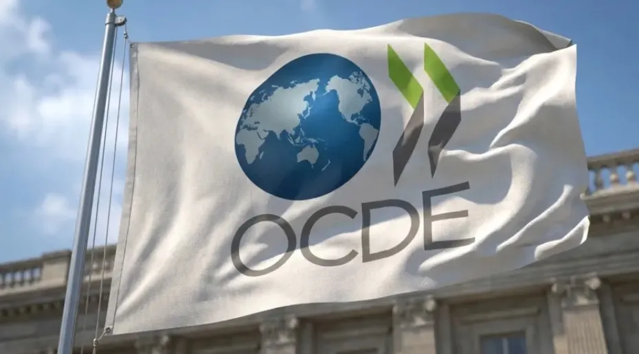 Morocco Urged to Strengthen Tax Reporting Framework by OECD