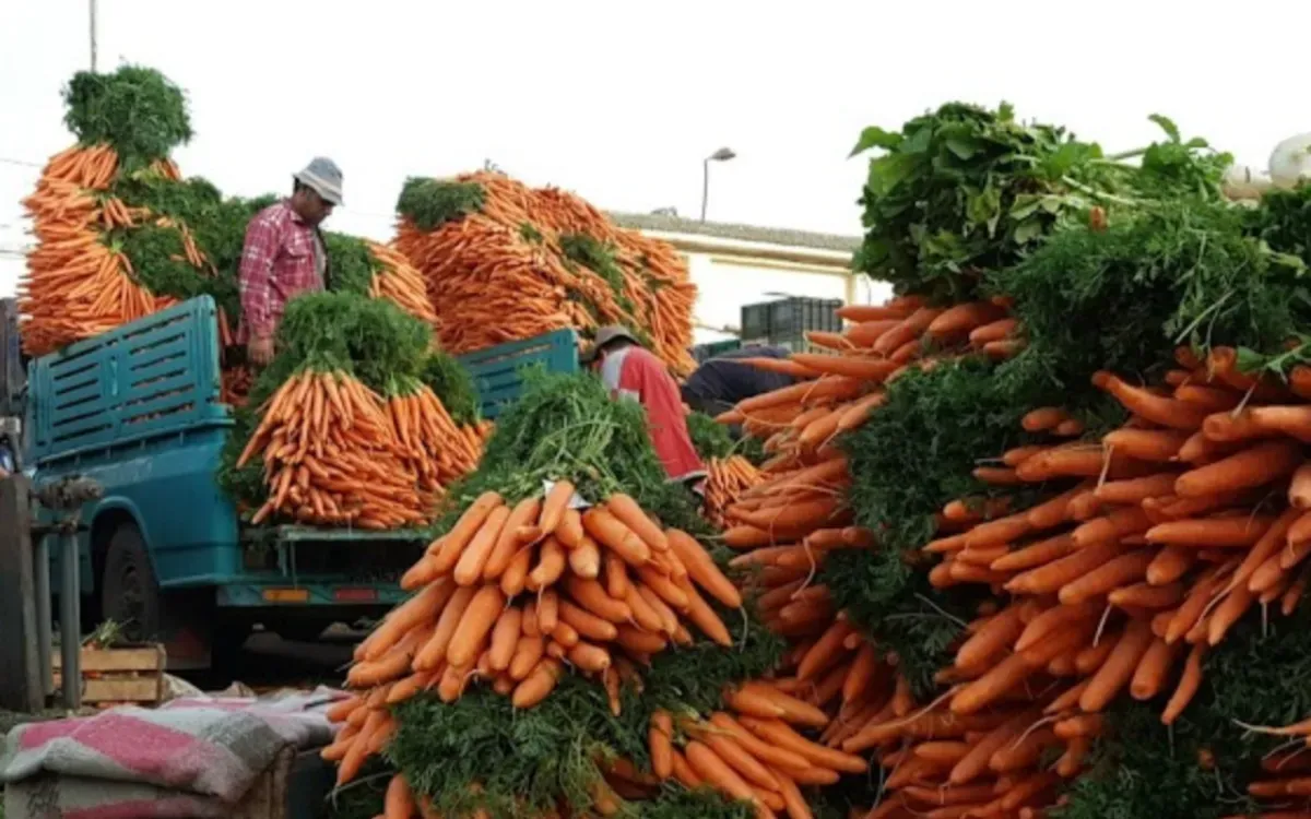 Morocco's Vegetable Prices Surge Up to Threefold: A Call for Reform