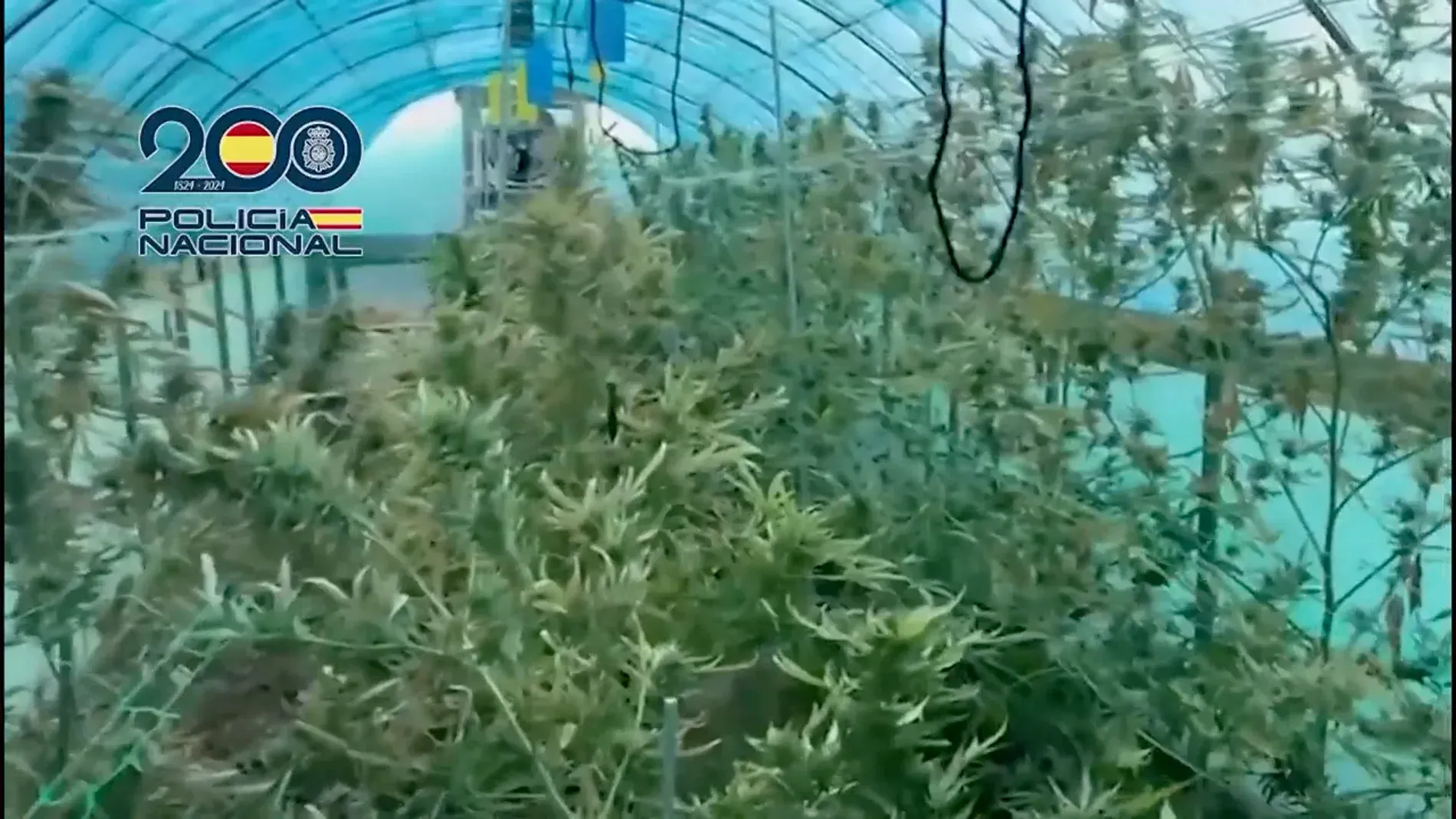 Morocco's Anti-Drug Operation: Spanish Police Seize 10.8 Tons of Hashish and Arrest Key Trafficker in Tangier