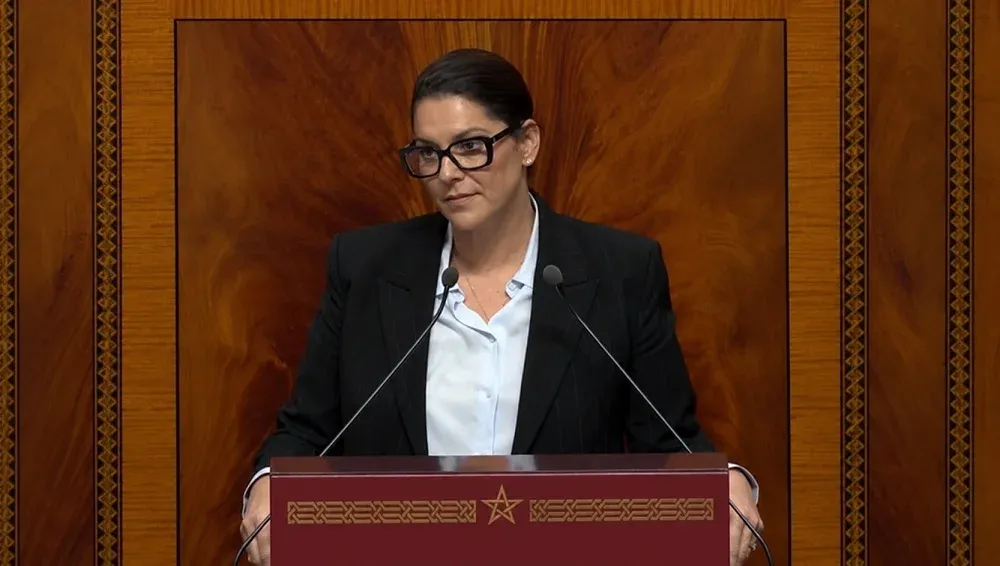 Morocco's Political Transition: Social Media Engagement and Legislative Dynamics