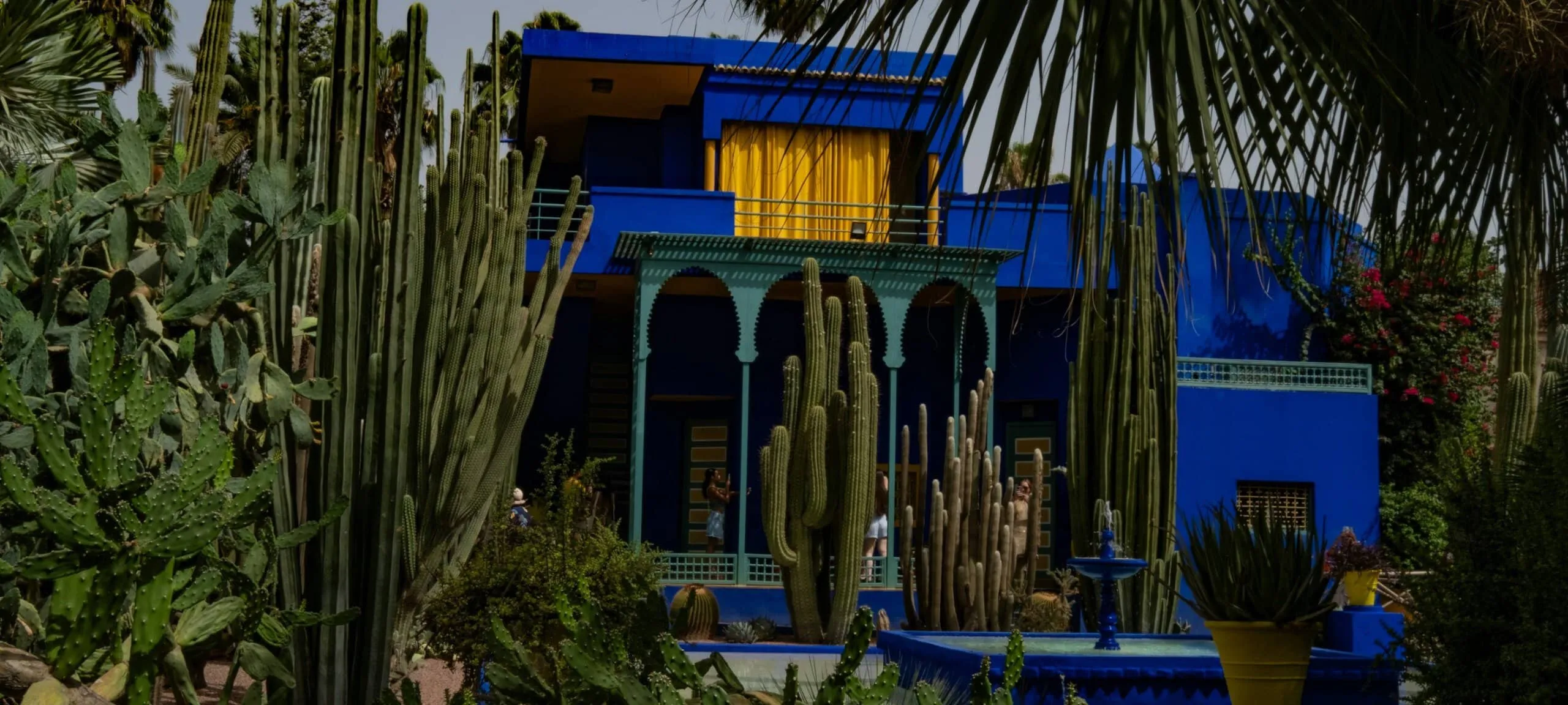 Explore the Majorelle Garden: A Must-Visit in Marrakech, Morocco
