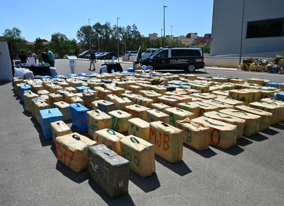 Major Cannabis Trafficking Network Busted in Tangier, Morocco