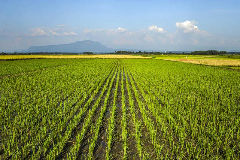 Comprehensive Dataset on Moroccan Agriculture: Enhancing Crop and Irrigation Studies