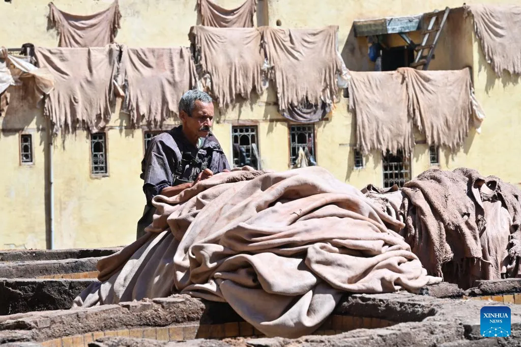 The Art of Traditional Leather Tanning in Fes, Morocco
