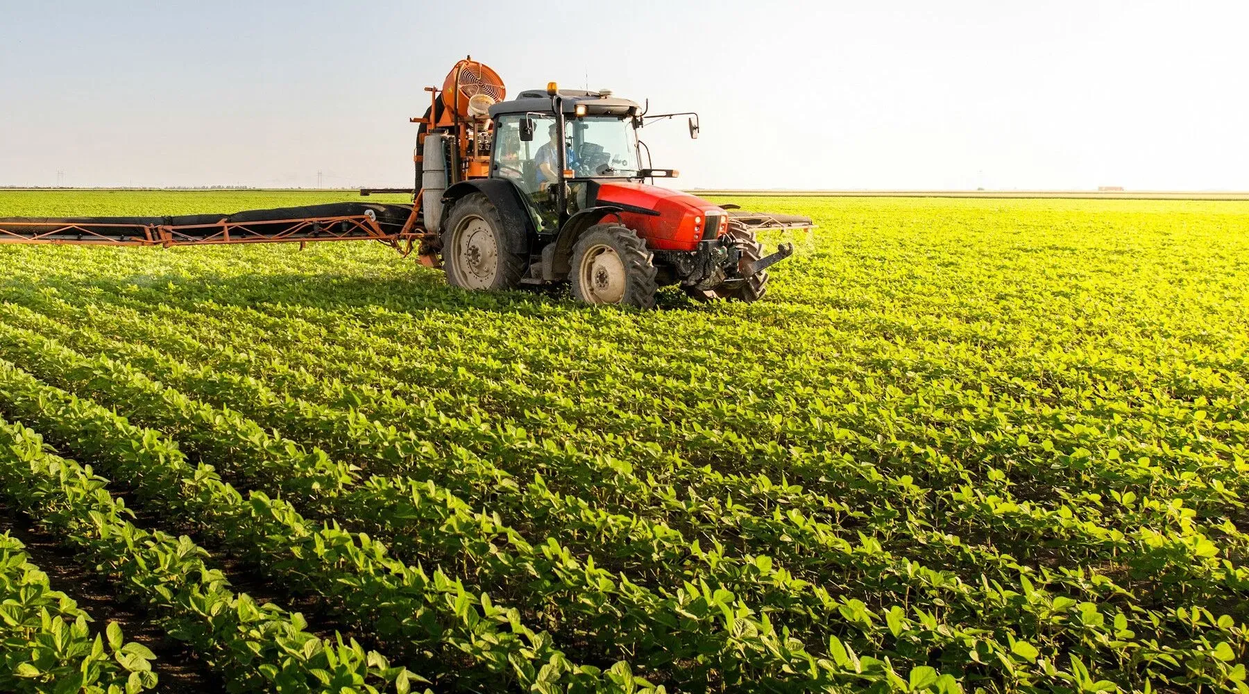 U.S. Seeks Fertilizer Supply from Venezuela and Morocco Amid Supply Chain Challenges