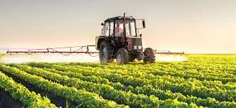 Morocco's Agricultural Sector Expected to Surge by 15% Amid Favorable Weather Conditions