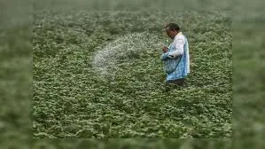 India Expands Fertilizer Imports to Safeguard Agriculture Amid Global Tensions