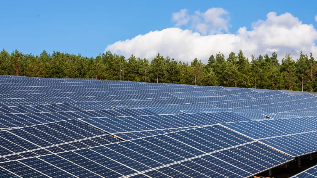 EBRD Invests MAD 400 Million in Morocco's Pioneering Regional Green Bond