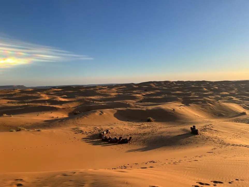 Morocco: A Beacon of Religious Harmony and Resilience